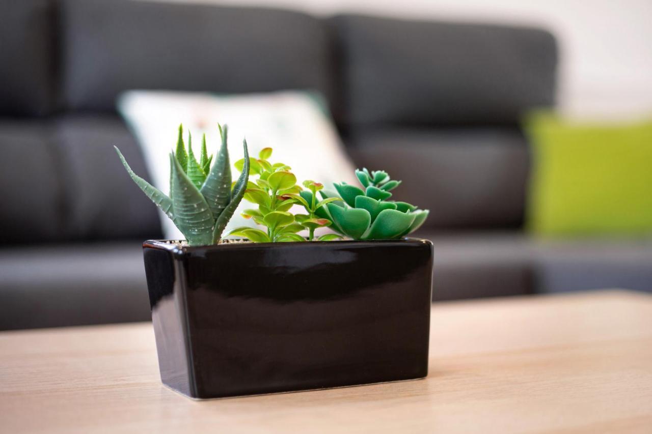 Casa Cactus Villa Antigua  Exteriör bild
